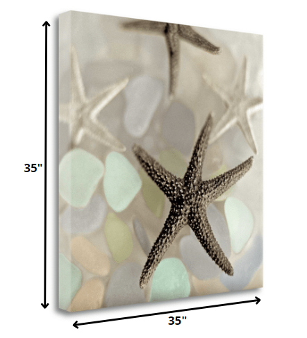 13" Four Starfish and Faded Seaglass 4 Giclee Wrap Canvas Wall Art