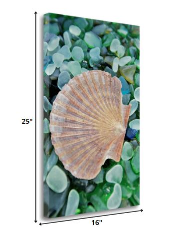 25" Seashell and Seaglass Giclee Wrap Canvas Wall Art