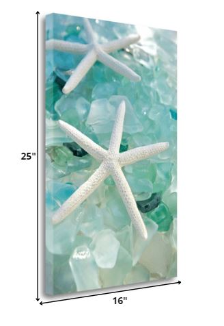 7" Two White Starfish and Seaglass Giclee Wrap Canvas Wall Art