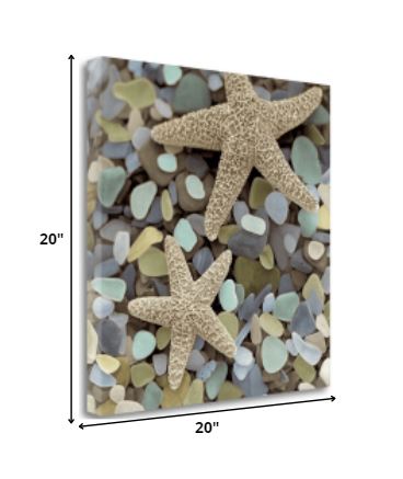 11" Two Starfish and Seaglass 1 Giclee Wrap Canvas Wall Art