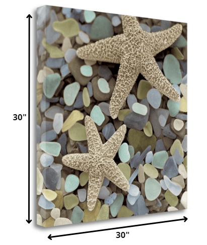 11" Two Starfish and Seaglass 3 Giclee Wrap Canvas Wall Art