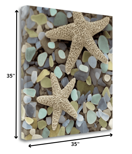 11" Two Starfish and Seaglass 4 Giclee Wrap Canvas Wall Art