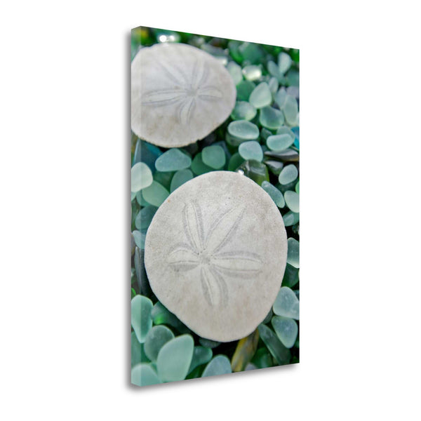 22" Two Sandollars and Colorful Seaglass Giclee Wrap Canvas Wall Art