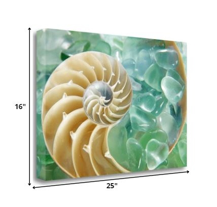 26" Seashell and Green Seaglass Giclee Wrap Canvas Wall Art