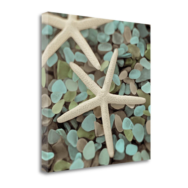 20" Starfish and Seaglass Giclee Wrap Canvas Wall Art