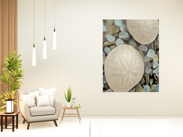 35" Sand Dollar and Seaglass Giclee Wrap Canvas Wall Art