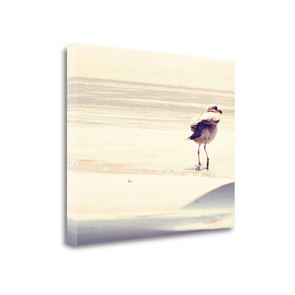 33" Coastal Seagull on the Beach Print on Gallery Wrap Canvas Wall Art