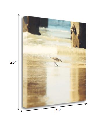 25" Willet Walking Towards the Beach Giclee Wrap Canvas Wall Art