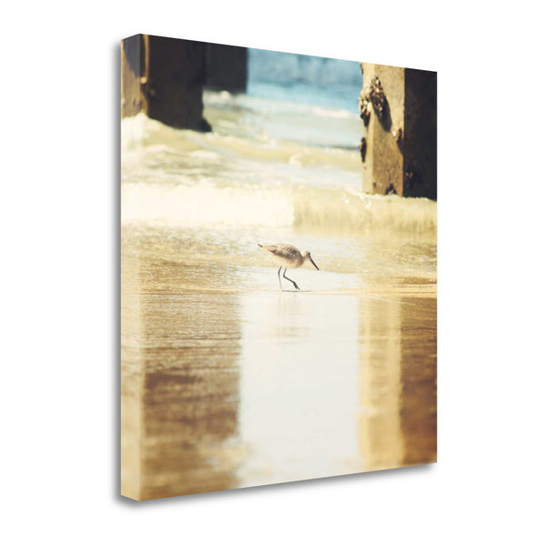 30" Willet Walking Towards the Beach Giclee Wrap Canvas Wall Art