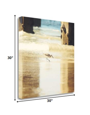 30" Willet Walking Towards the Beach Giclee Wrap Canvas Wall Art