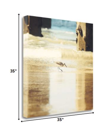 35" Willet Walking Towards the Beach Giclee Wrap Canvas Wall Art