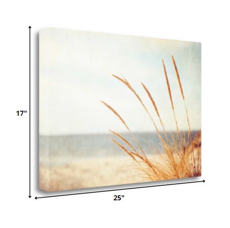 25" Golden Swaying Beach Grass Giclee Wrap Canvas Wall Art