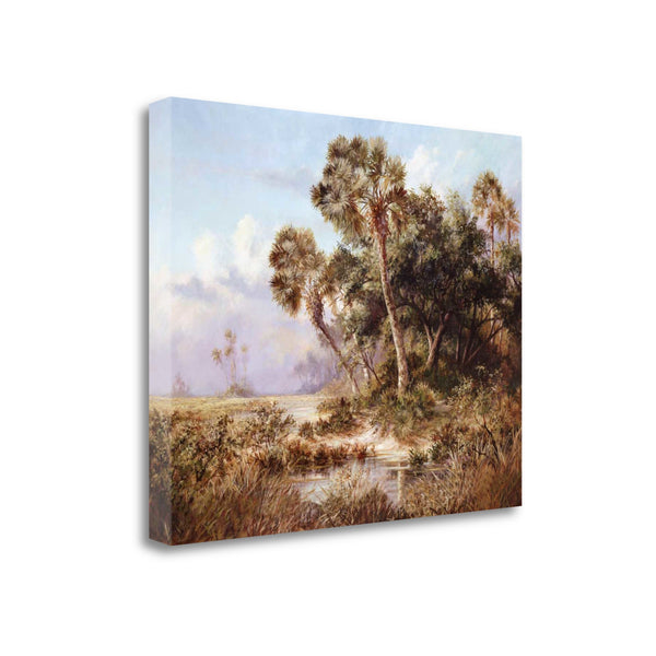 Palm Tree Everglades 1 Giclee Wrap Canvas Wall Art