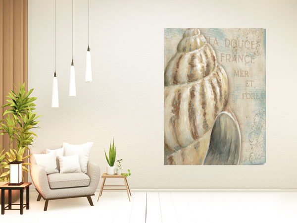 Rustic French Seashell 1 Giclee Wrap Canvas Wall Art