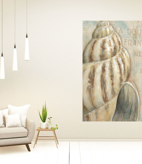 Rustic French Seashell 1 Giclee Wrap Canvas Wall Art