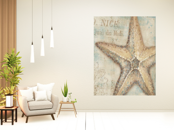 Rustic French Seashell 2 Giclee Wrap Canvas Wall Art