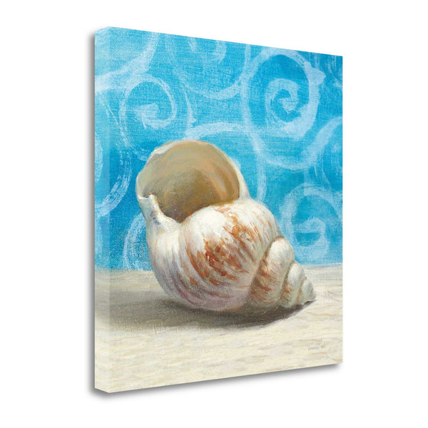 18" Mod Blue Scroll Coastal Conch 1 Giclee Wrap Canvas Wall Art