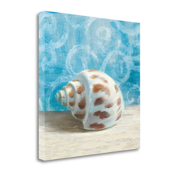 30" Mod Blue Scroll Coastal Conch 2 Giclee Wrap Canvas Wall Art