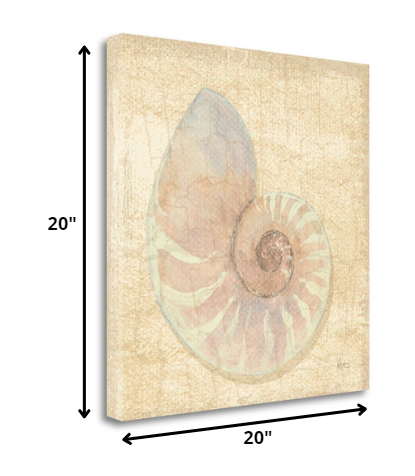 20" Soft Pastel Seashell Giclee Wrap Canvas Wall Art