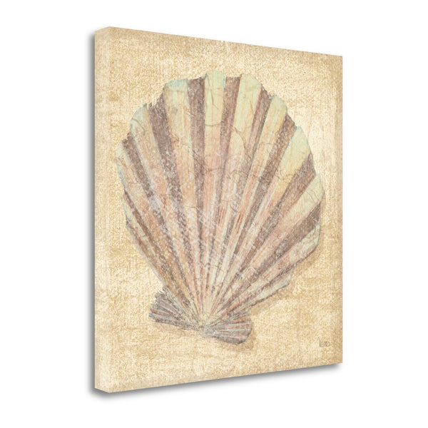 24" Bohemian Pastel Seashell Giclee Wrap Canvas Wall Art