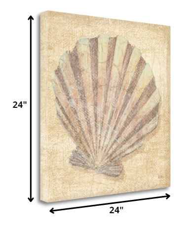 24" Bohemian Pastel Seashell Giclee Wrap Canvas Wall Art