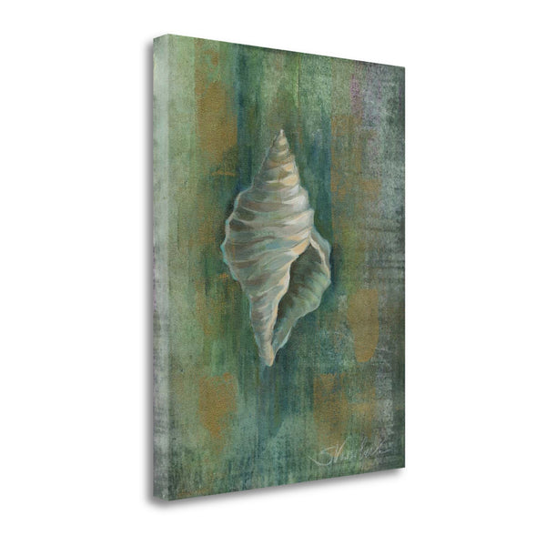 27" Blue and Green Seashell Giclee Wrap Canvas Wall Art