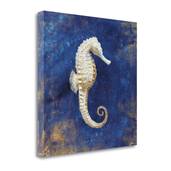 20" Rustic Deep Blue and Gold Seahorse Giclee Wrap Canvas Wall Art