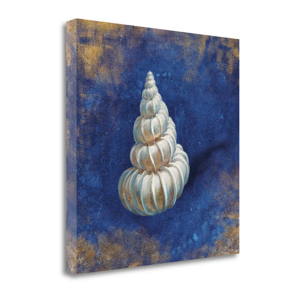 25" Rustic Deep Blue and Gold Shell Giclee Wrap Canvas Wall Art