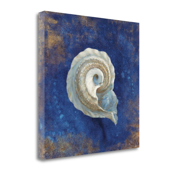 18" Rustic Deep Blue and Gold Conch Giclee Wrap Canvas Wall Art