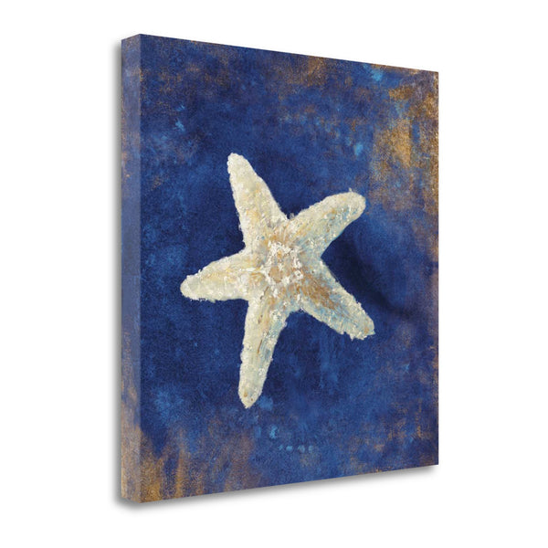 30" Rustic Deep Blue and Gold Starfish Giclee Wrap Canvas Wall Art