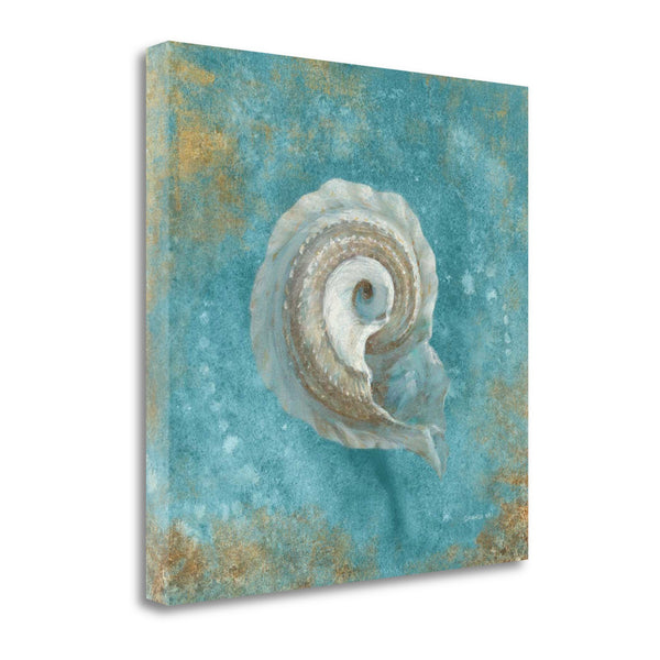 20" Majestic Seashell in the Deep Blue Sea Giclee Wrap Canvas Wall Art