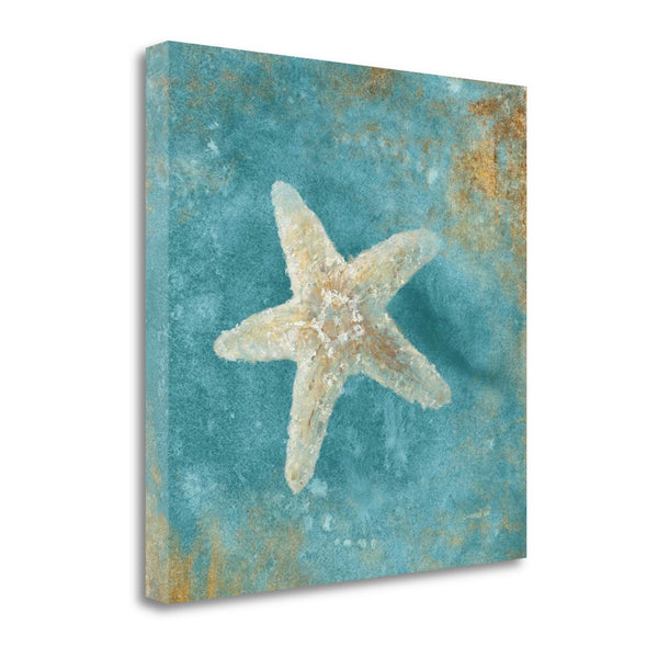 20" Majestic Starfish  in the Deep Blue Sea Giclee Wrap Canvas Wall Art