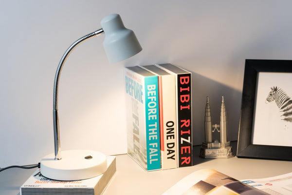 White and Silver Metal Gooseneck Desk Lamp