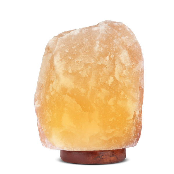 Pink Hand Carved All Natural 12-15 Pound Himalayan Salt Lamp