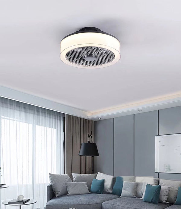 Industrial Ceiling Fan and Light