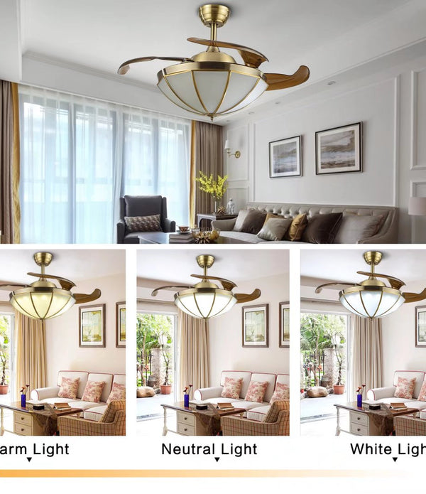 Classic Ceiling Lamp And Retractable Fan